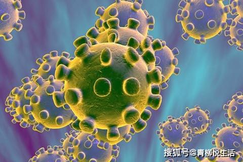 新型冠状病毒新型冠状病毒能在无生命物体和表面存活多久？